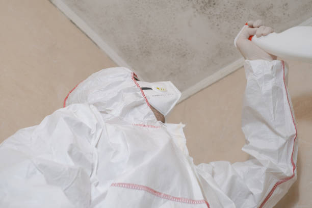 Best HVAC Mold Remediation in Slater Marietta, SC